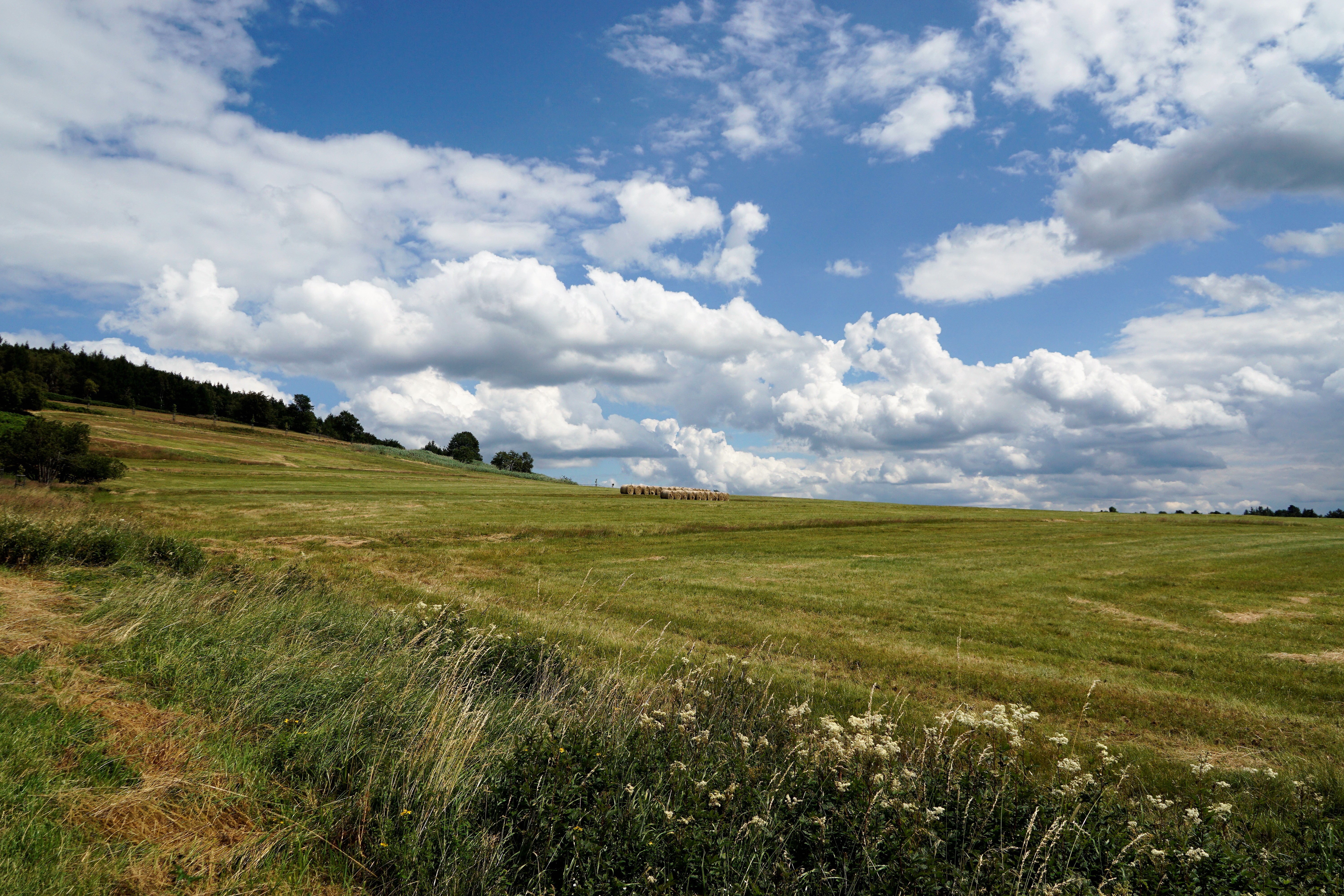 aaa